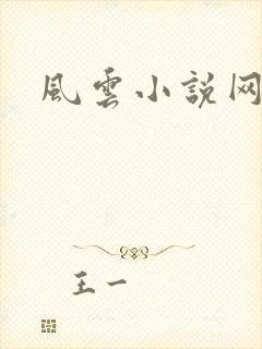风云小说网
