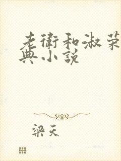 老卫和淑荣的经典小说