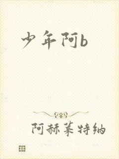 少年阿b
