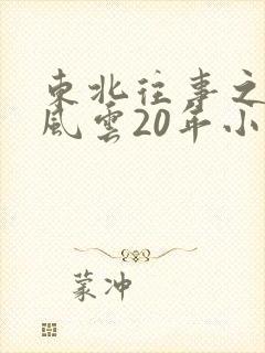 东北往事之黑道风云20年小说