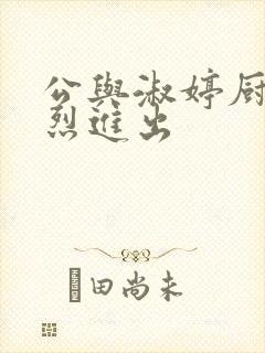 公与淑婷厨房猛烈进出