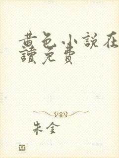 黄色小说在线阅读免费