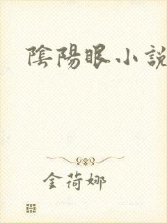 阴阳眼小说