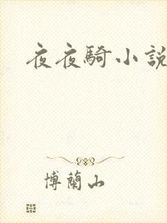 夜夜骑小说