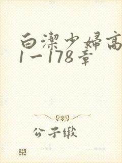 白洁少妇高义第1一178章