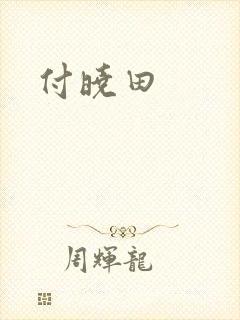 付晓田