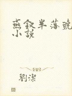 燕钗半落琥珀糖小说