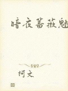 暗夜蔷薇魅