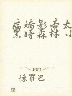 病娇影帝太撩人黑暗森林 小说全文免费阅读