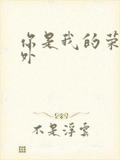 你是我的荣耀番外