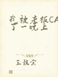 我被老板CAO了一晚上