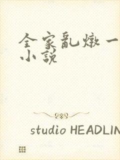 全家乱炖一锅烩小说