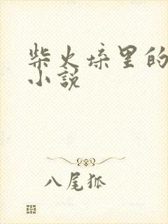 柴火垛里的疯狂小说