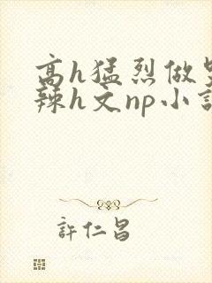 高h猛烈做哭高辣h文np小说