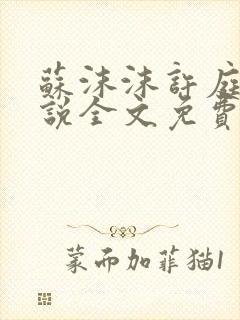 苏沫沫许庭川小说全文免费阅读