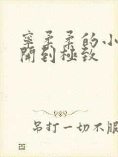 宁柔柔的小泬撑开到极致