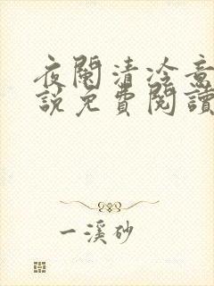 夜阑清冷意欢小说免费阅读
