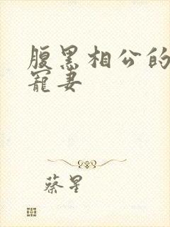 腹黑相公的庶女宠妻