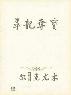 寻龙夺宝
