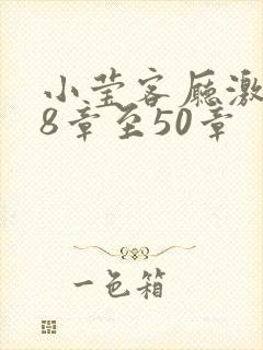 小莹客厅激情38章至50章