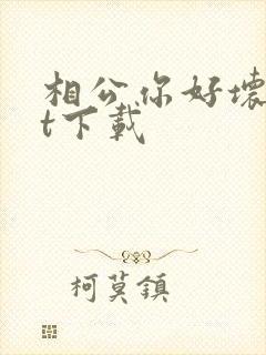 相公你好坏txt下载
