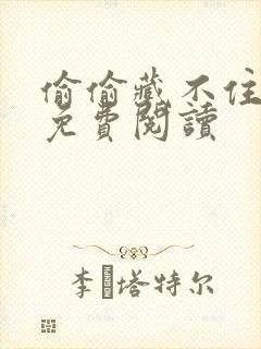 偷偷藏不住小说免费阅读