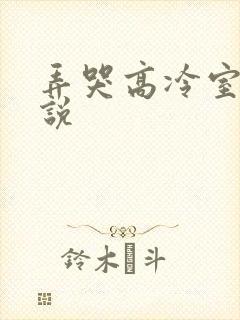 弄哭高冷室友小说