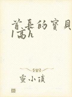 首长的宝贝1v1高h