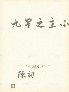 九星之主小说