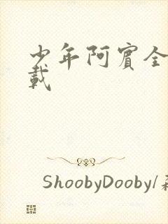 少年阿宾全集下载