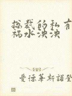 总裁的私有宝贝祸水泱泱