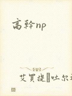 高干np