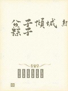 公子倾城 维和粽子