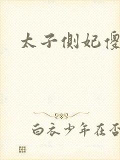 太子侧妃傻乎乎