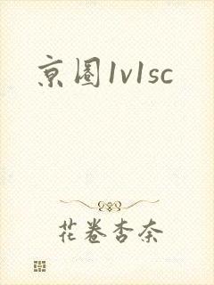 京圈1v1sc