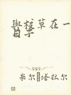 与校草在一起的日子