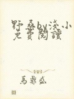 野桑by浅小说免费阅读