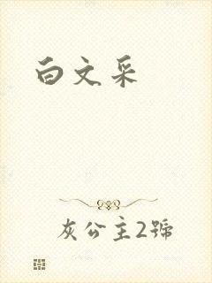 白文采