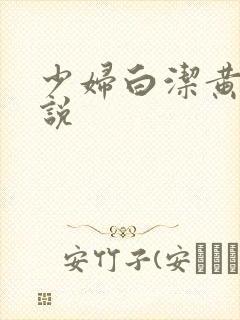 少妇白洁黄色小说
