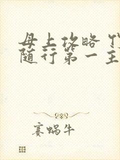 母上攻略 竹影随行第一主板