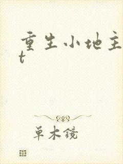 重生小地主txt