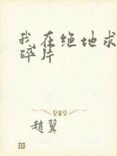 我在绝地求生捡碎片