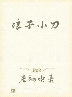 浪子小刀