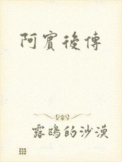 阿宾后传