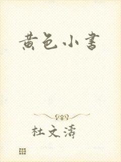 黄色小书