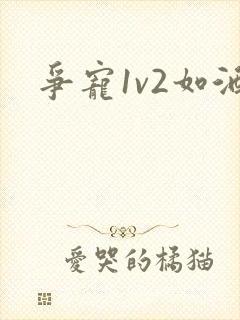 争宠1v2如酒