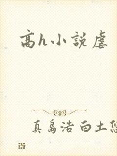 高h小说虐