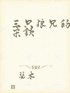 三只狼兄的宠妻宋钦