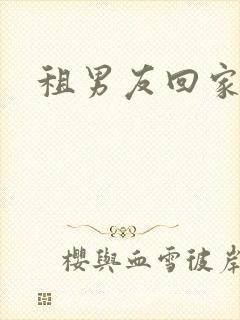 租男友回家过年