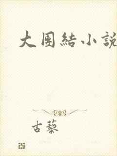 大团结小说全文